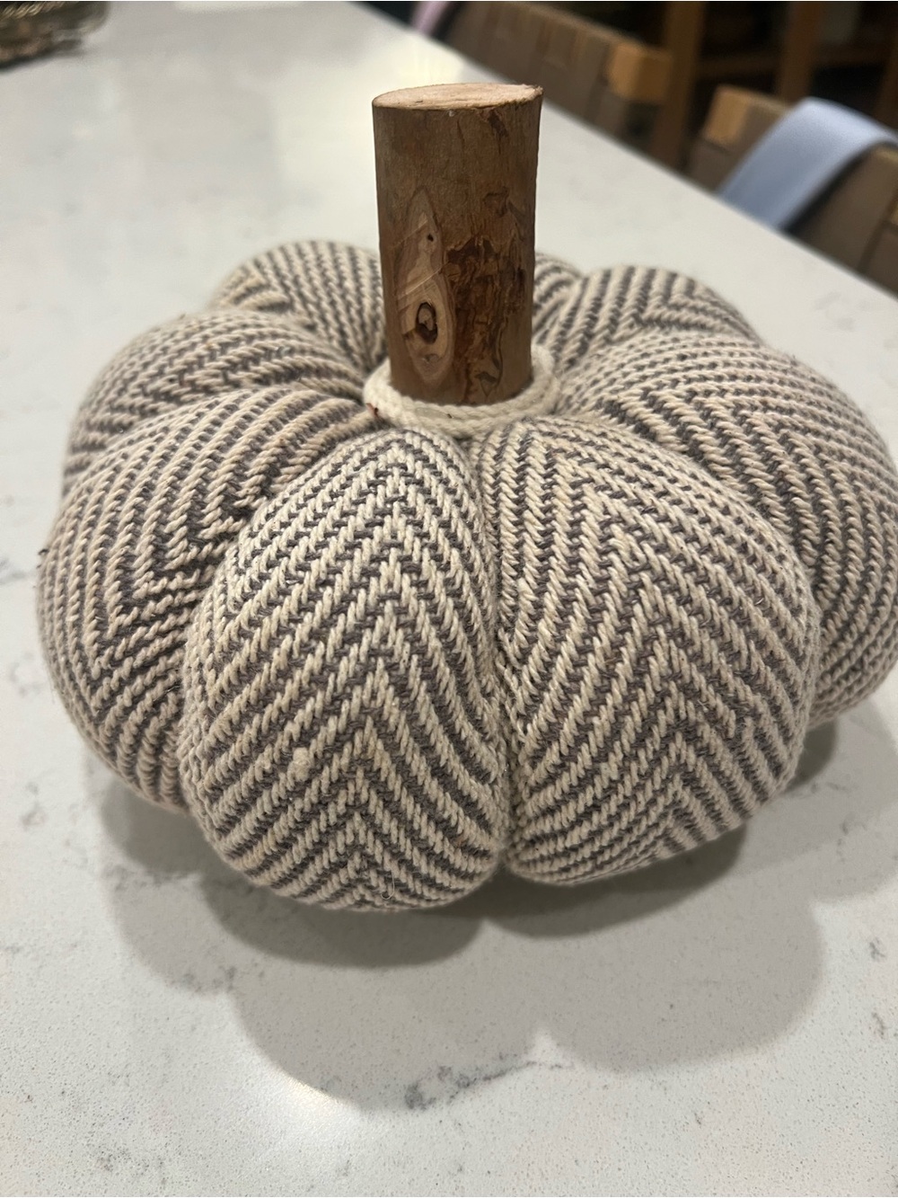 Neutral Knit Pumpkin with wooden stem